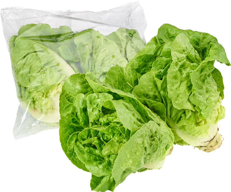 BIO Romana Salatherzen