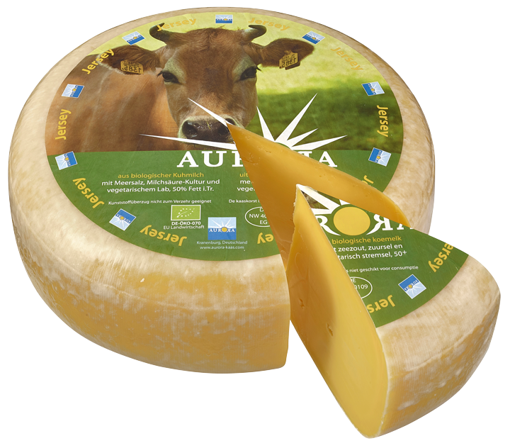 Gouda Jersey