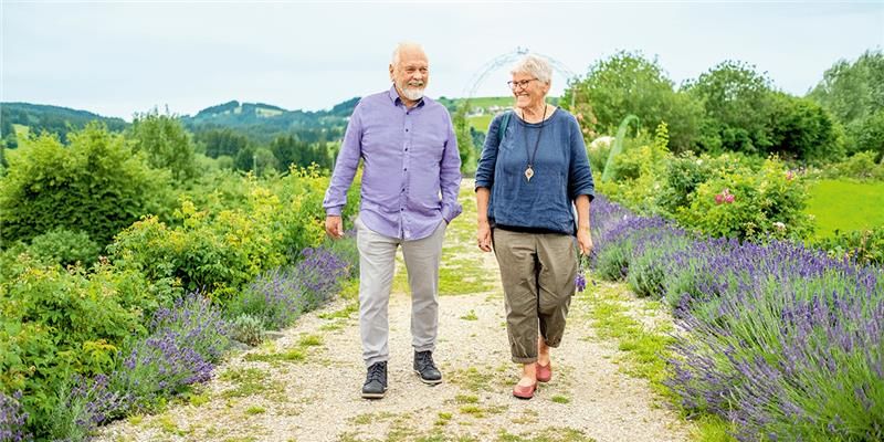 Querbeet: Aloe Vera  Bio-Pflegekraft, nachhaltig & regenerierend |  BioMarkt | denns-biomarkt.at