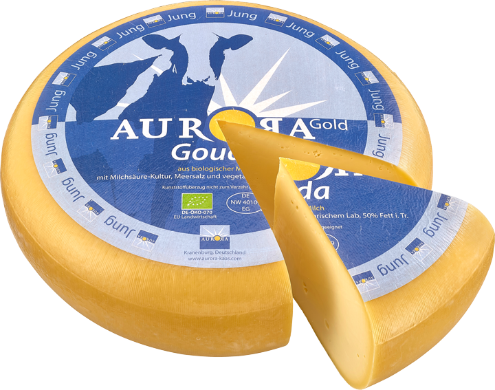 Gouda jung