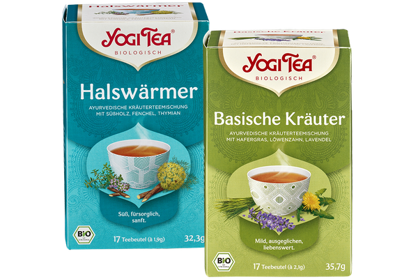 Ayurvedischer Bio-Tee