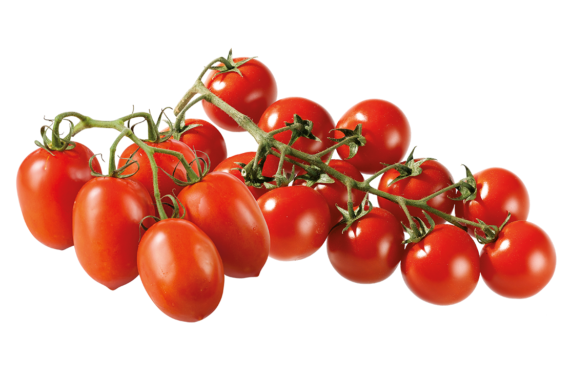 Cocktail- oder Roma-Cocktail-Tomaten