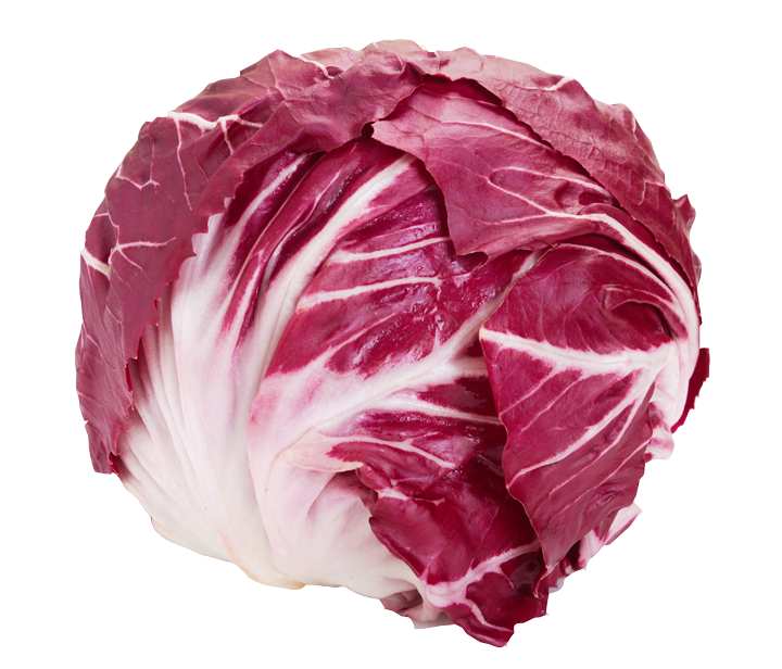 Radicchio