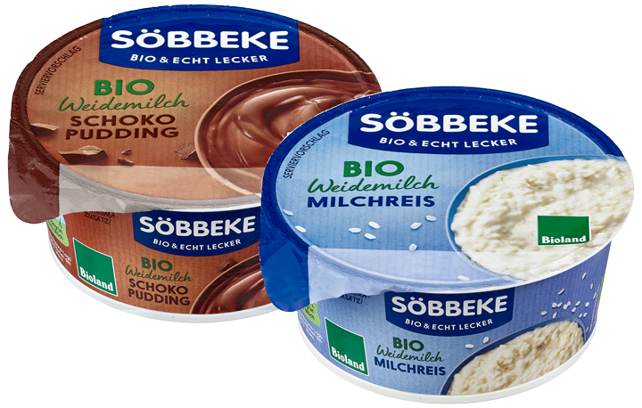 Milchreis oder Pudding