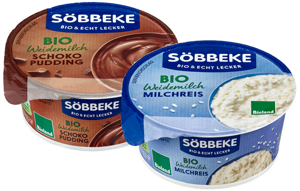 Milchreis oder Pudding