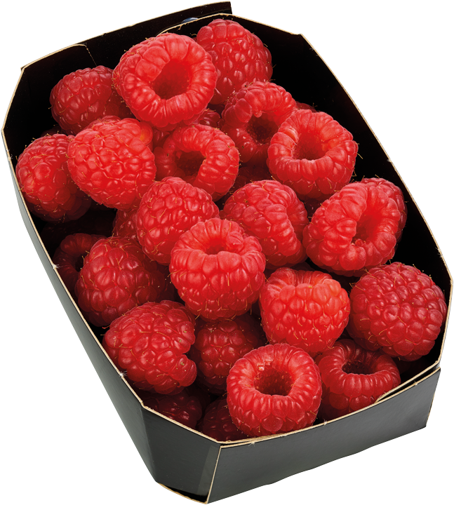 Himbeeren