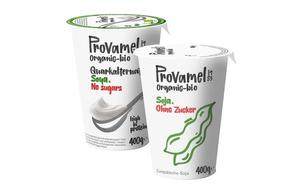 Joghurt- oder Skyr-Alternative