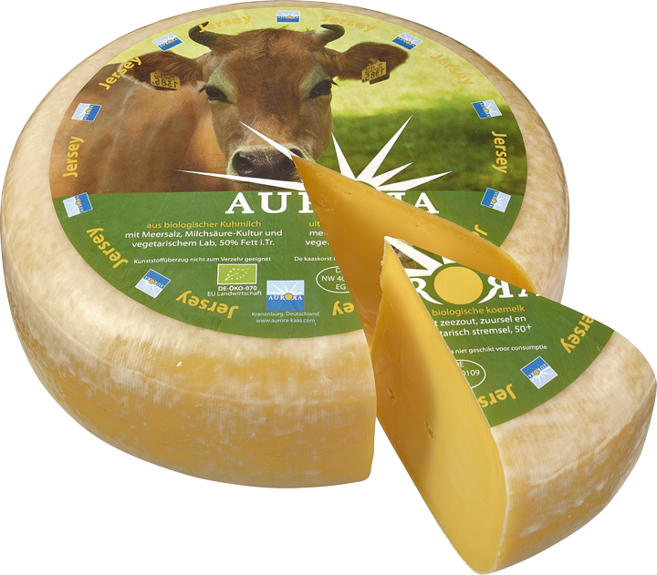 Gouda Jersey