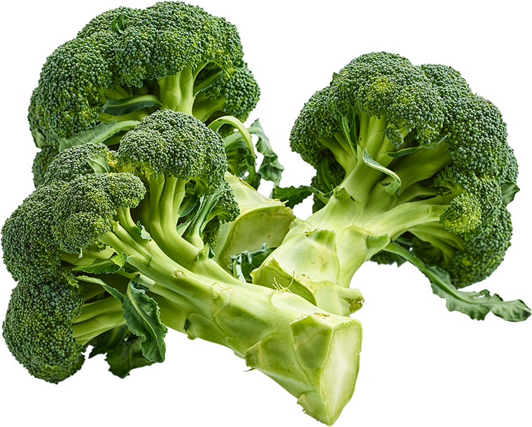 BIO Brokkoli