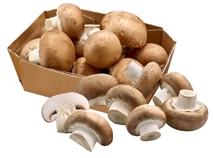 Champignons