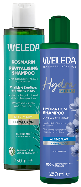 Shampoo oder Spülung
