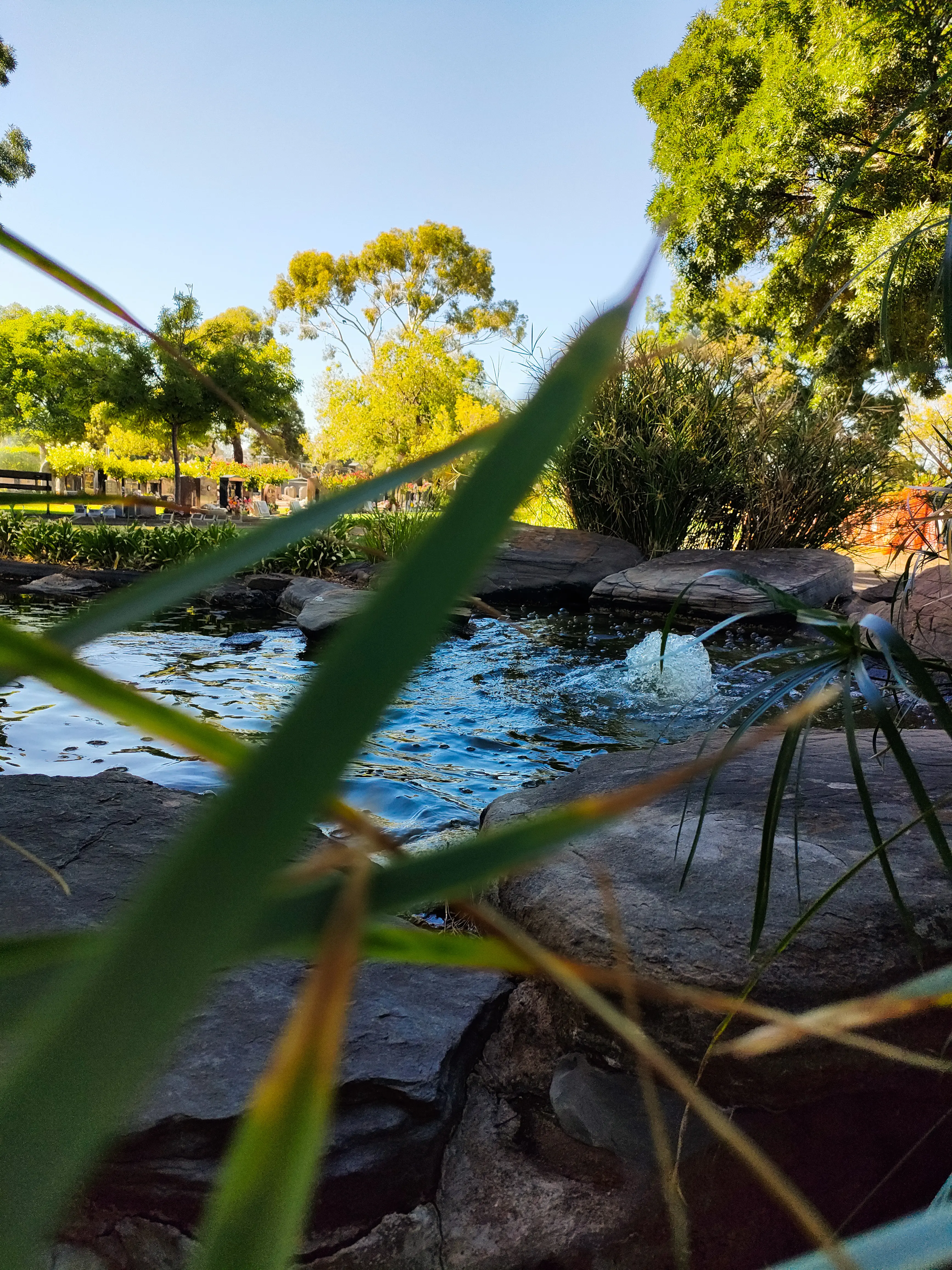 Plan ahead with confidence and peace of mind