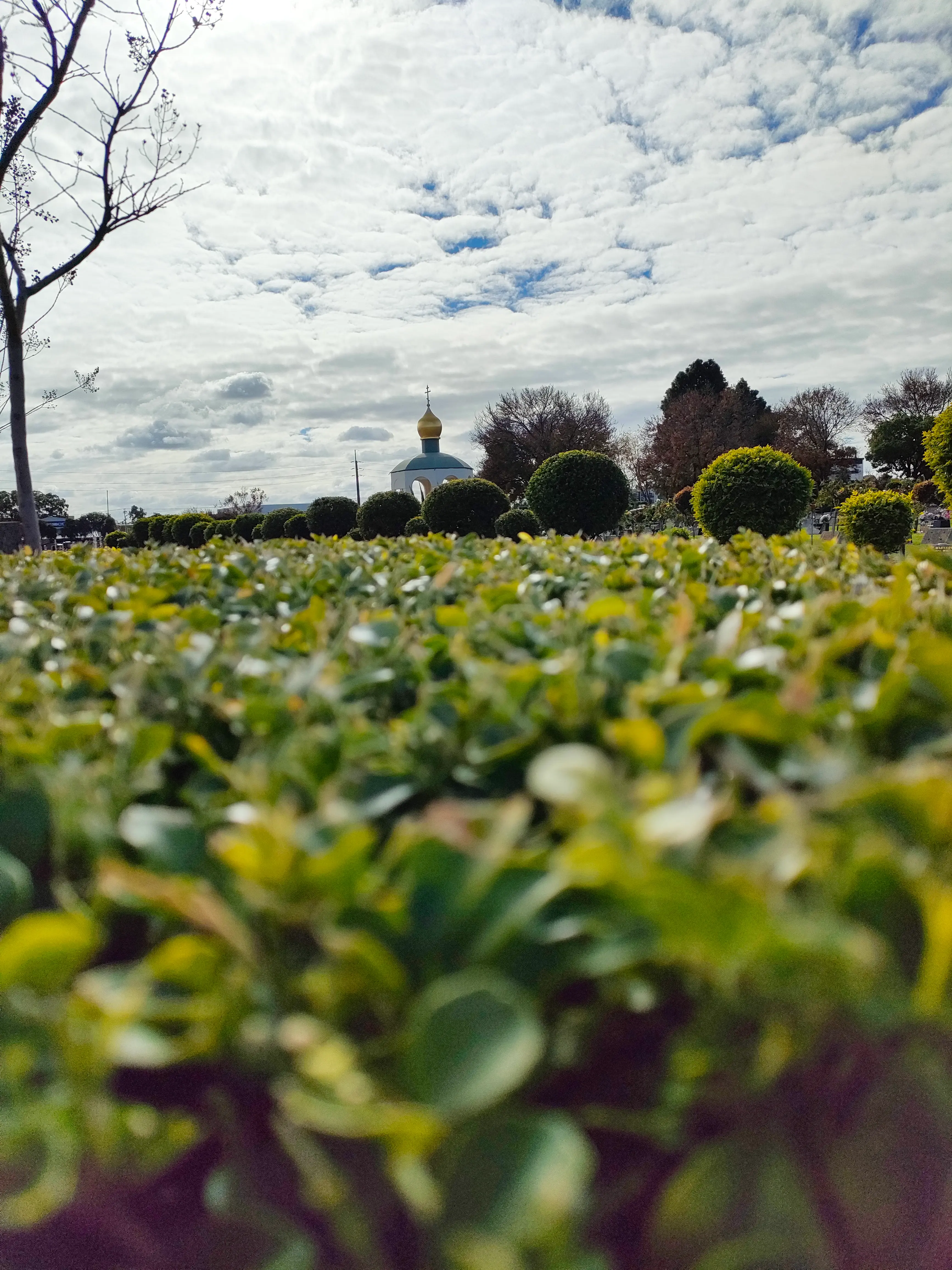 Dudley Park Cemetery