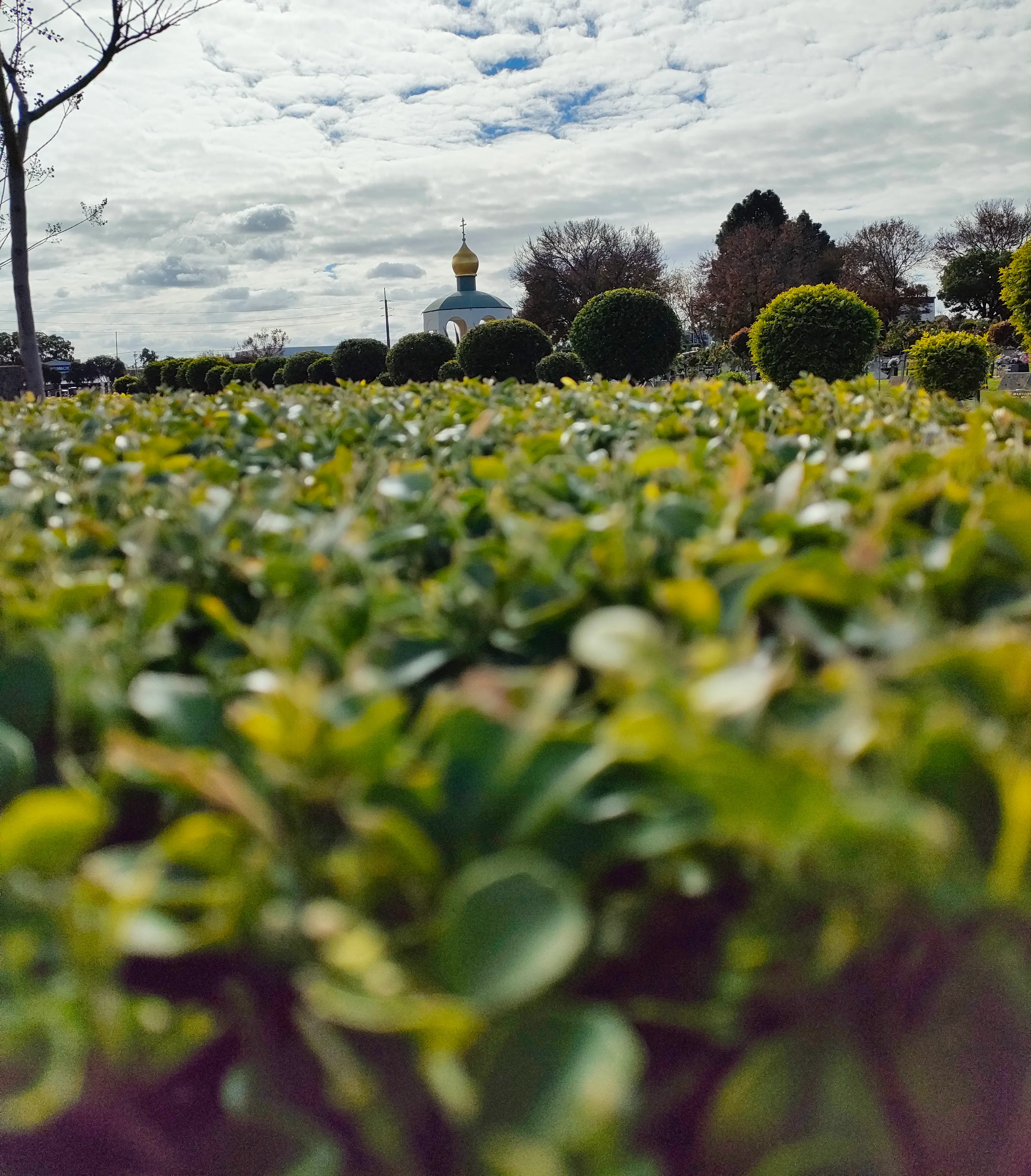 A photo taken of green shrubs overlooking a Russian funeral monument with gold dome and Russian orthodox Cross. A cloudy sky is in the background with breaks of blue sky
