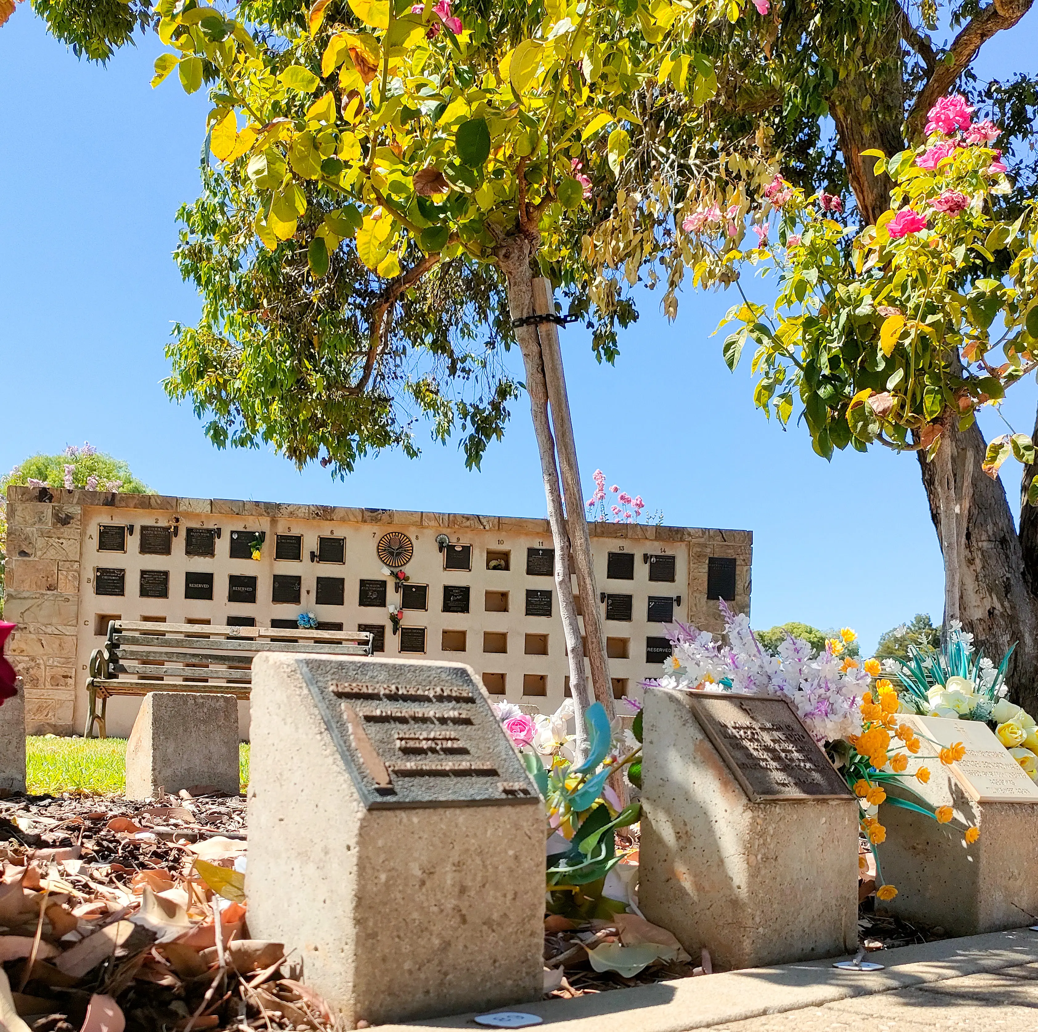 Cremation memorial options