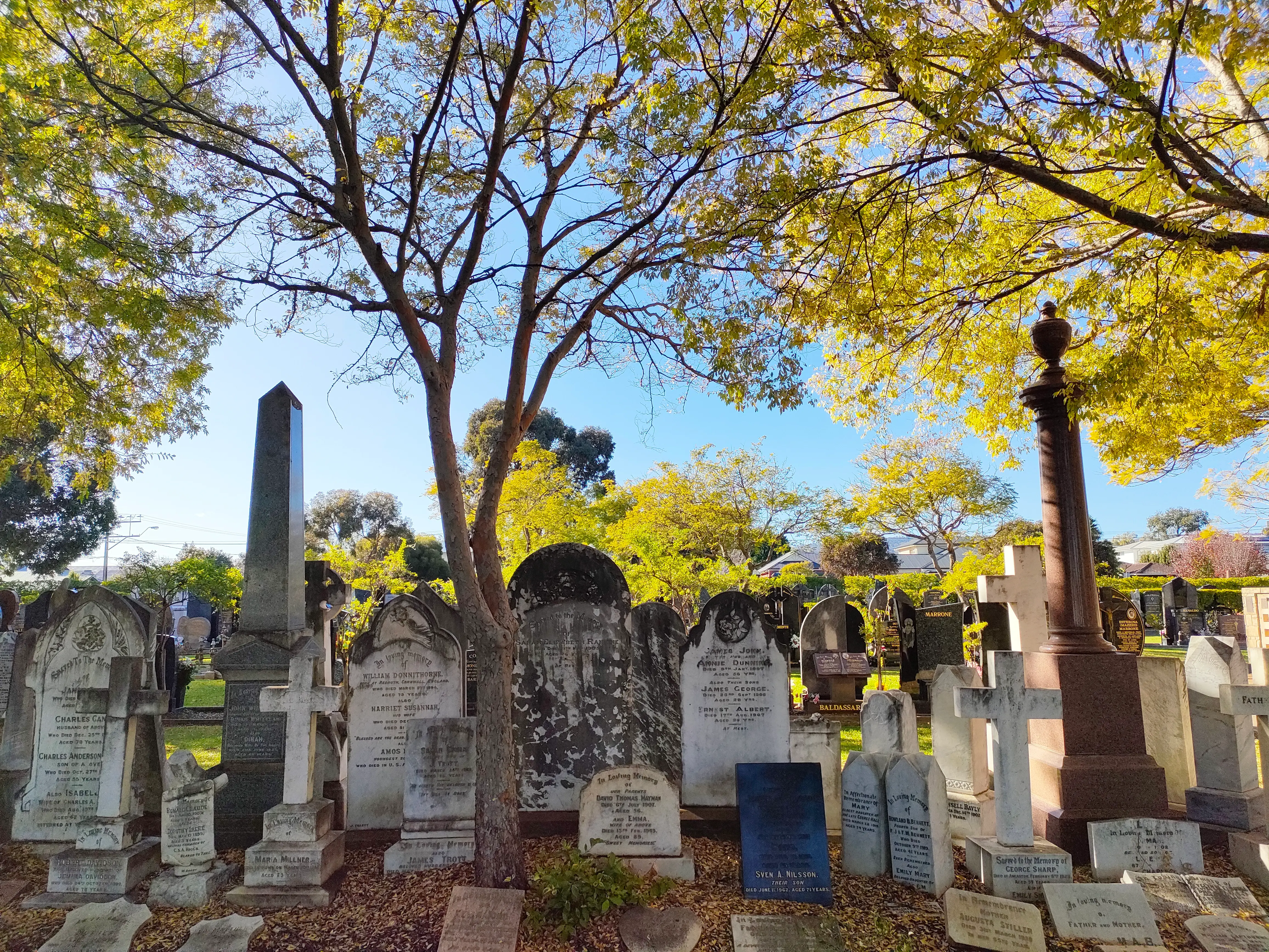 Check your tenure expiry date