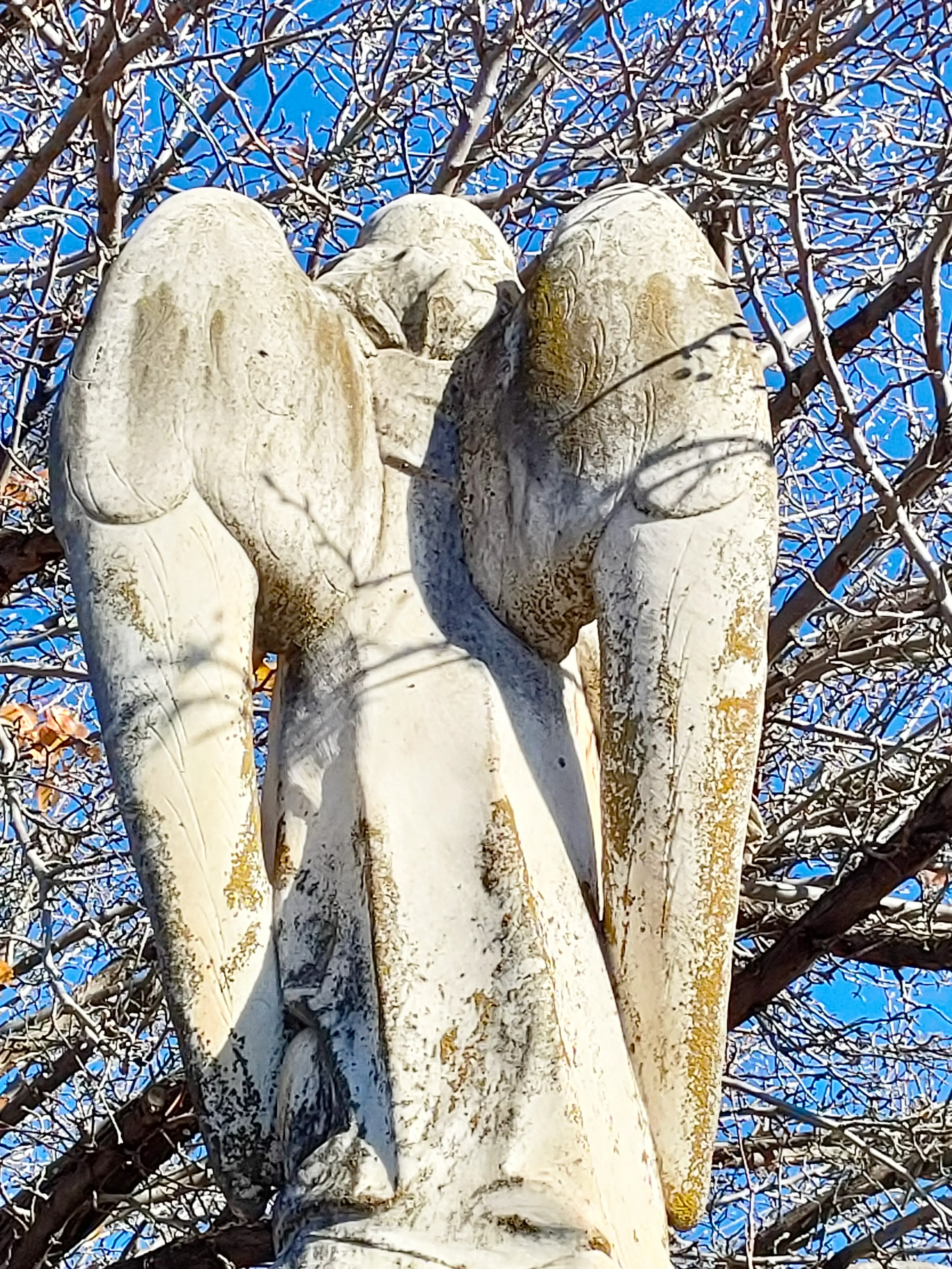 Angel Statue at Payneham Cemetery 