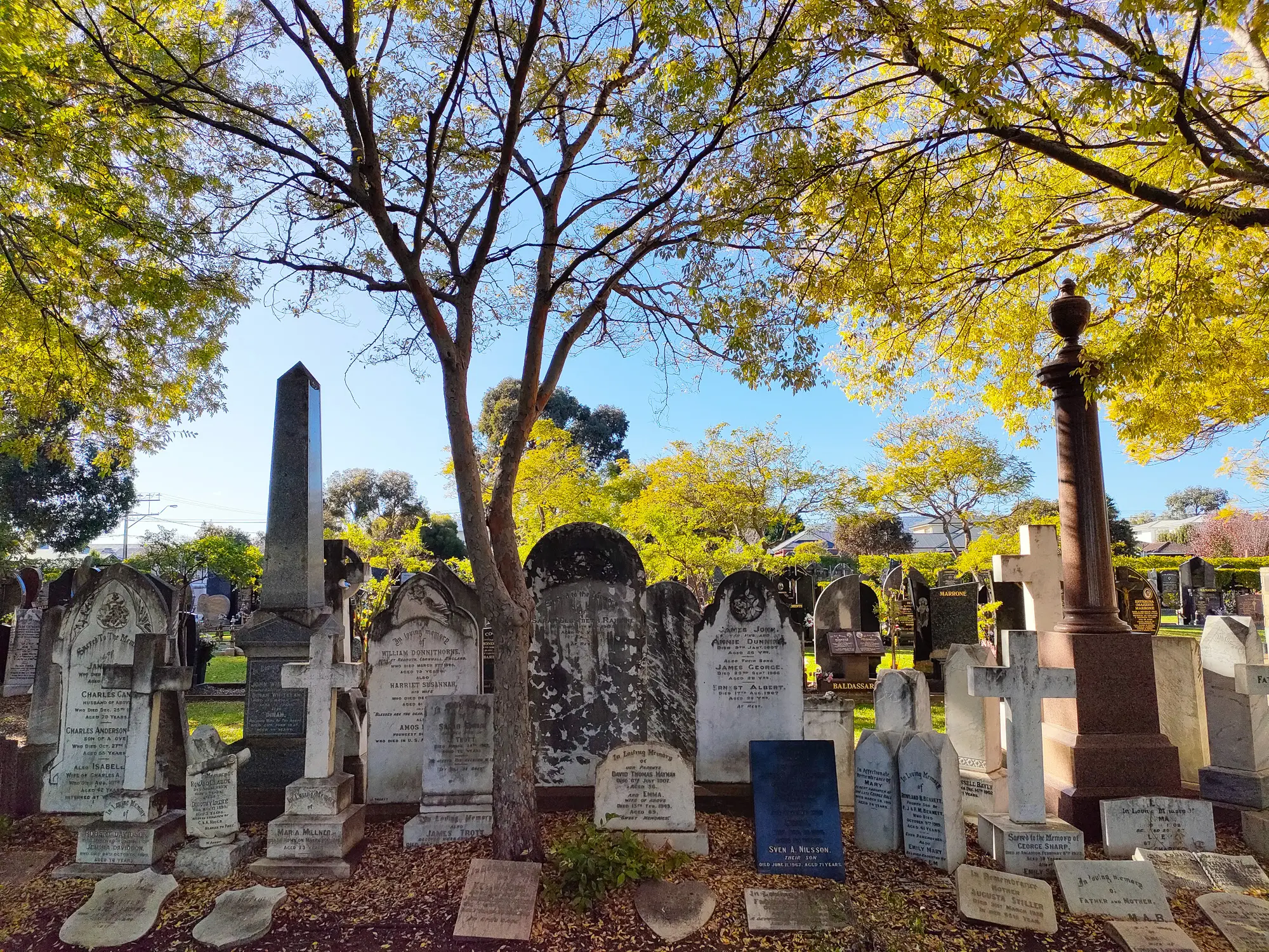 Cremation Memorial Options