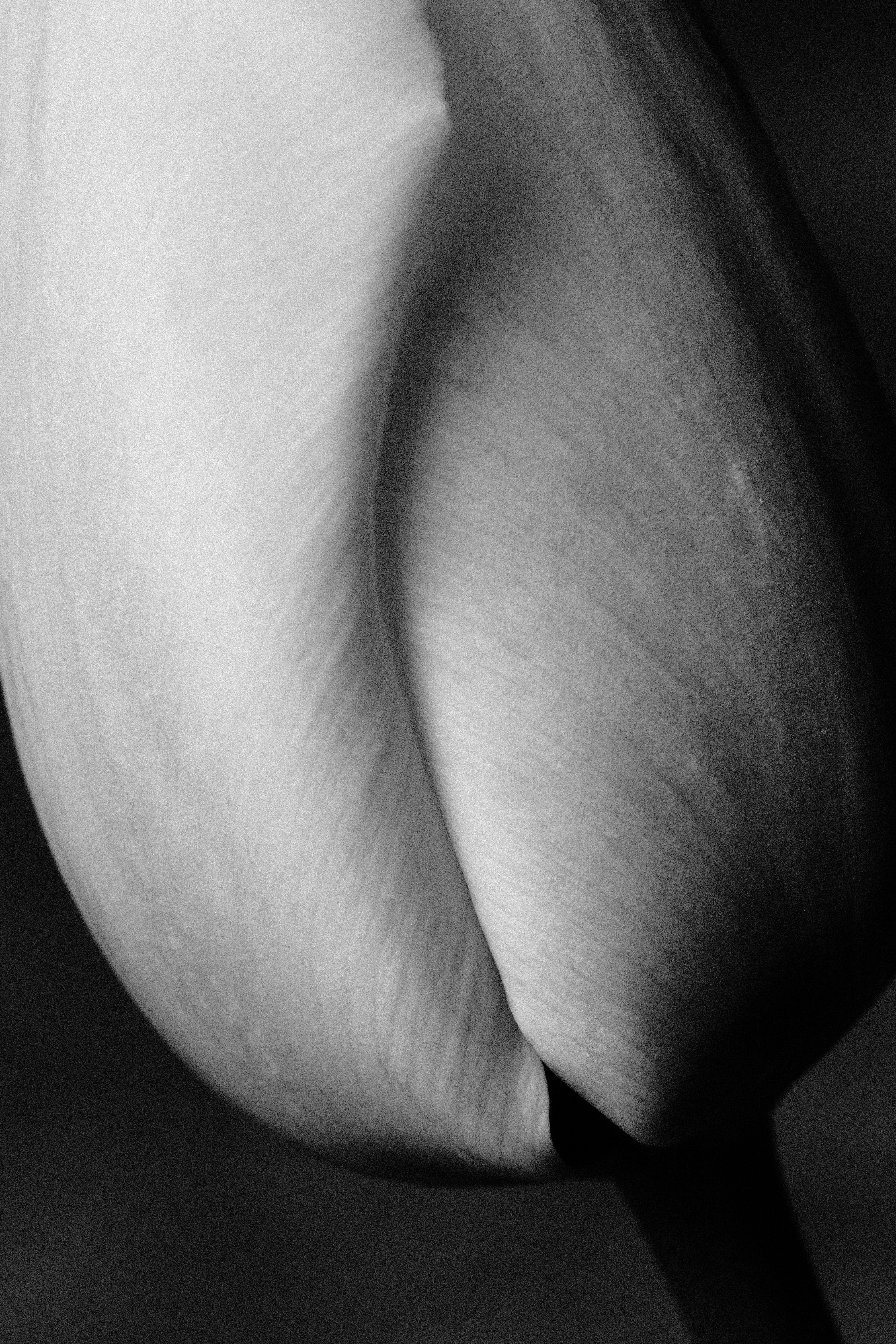 How does female masturbation affect brain health, mood, and pain?