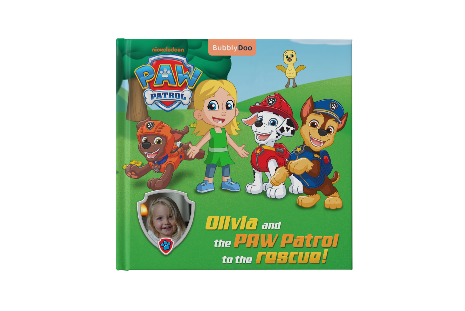 PAW Patrol to the rescue!