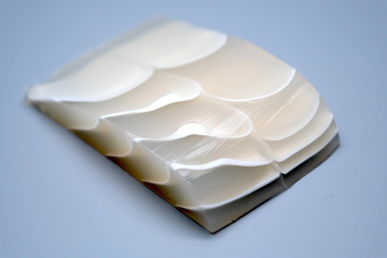 Fat / Connective Tissue