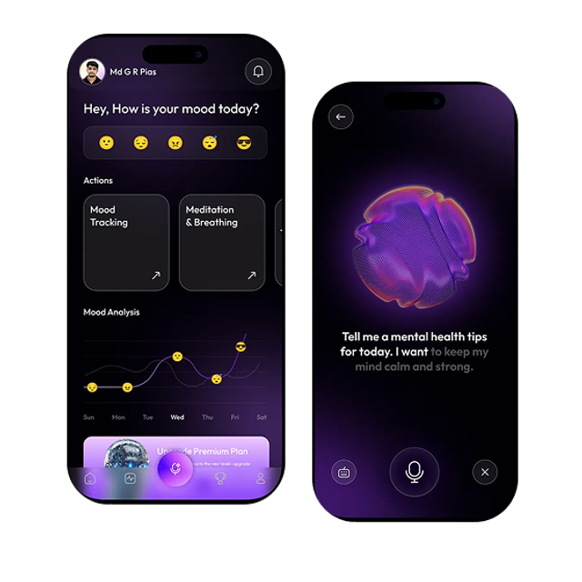 Example of the mood tracking app