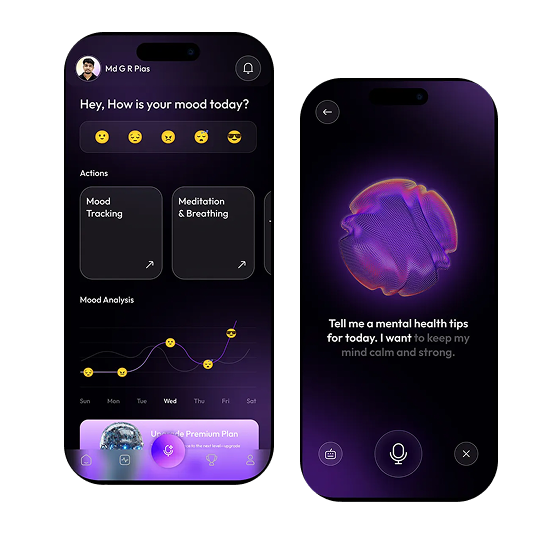 Example of the mood tracking app