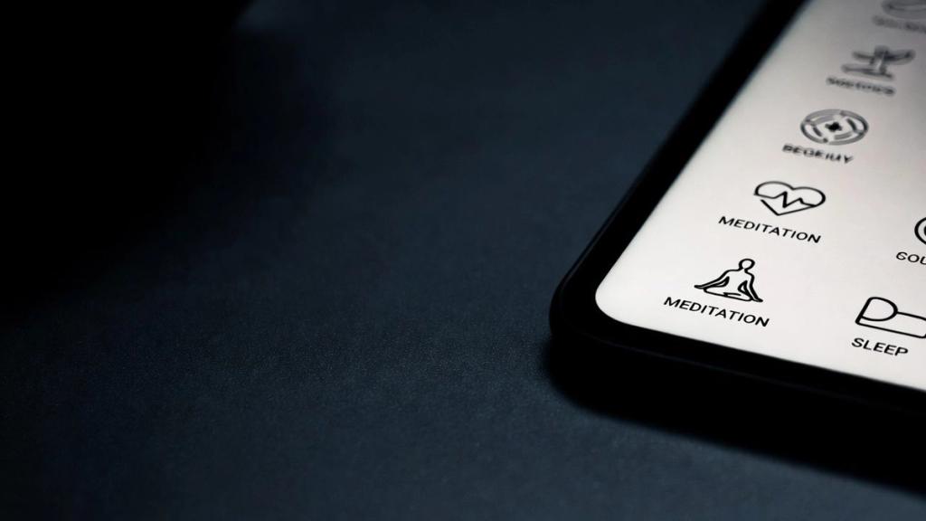 Wellness App Development Services