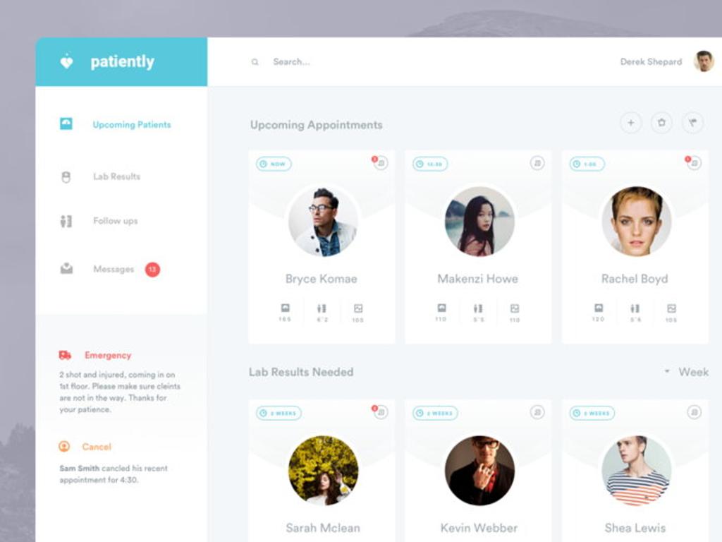 Doctors should have own mobile or web app to manage appointments 