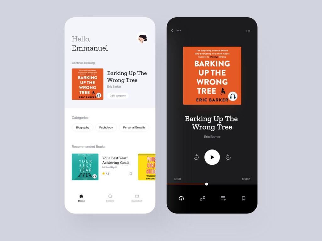 Make your audiobooks app user-friendly (*image by [Emmanuel Ikechukwu](https://dribbble.com/ema_ike){ rel="nofollow" target="_blank" .default-md}*)