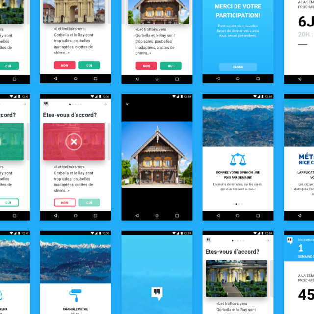 Interface of the Civocracy app