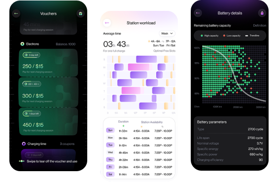 Dynamic Pricing Systems Application