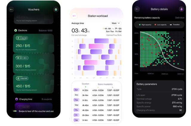 Dynamic Pricing Systems Application