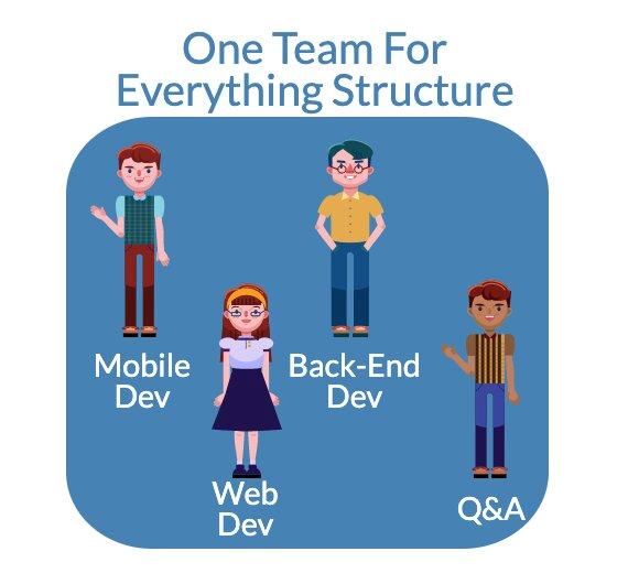A software development team within the framework of generalist approach has variable team roles