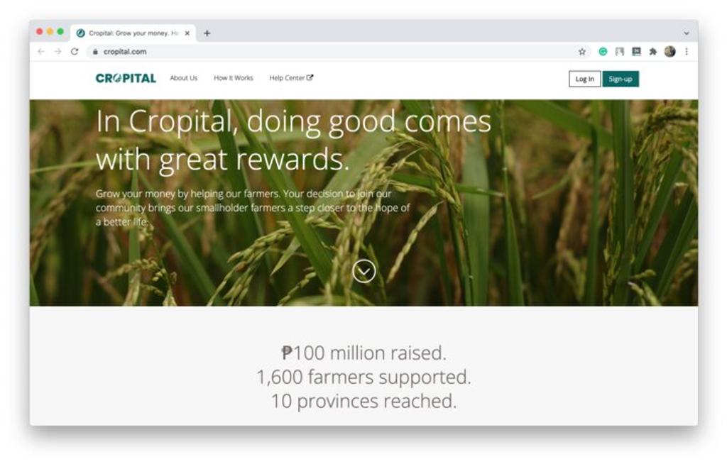 Agriculture crowdfunding is relatively new to the market and requires specific marketing campaign approaches (*image by [Cropital](https://www.cropital.com/){ rel="nofollow" target="_blank" .default-md}*)