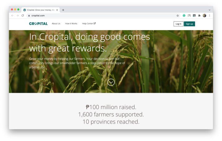 Agriculture crowdfunding is relatively new to the market and requires specific marketing campaign approaches (*image by [Cropital](https://www.cropital.com/){ rel="nofollow" target="_blank" .default-md}*)