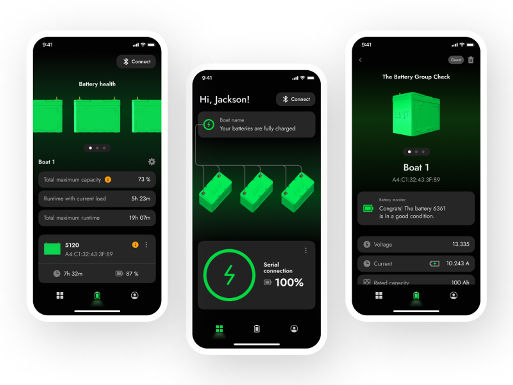 Automotive companion app example