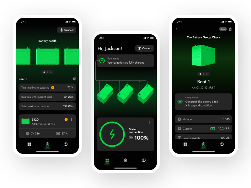 Automotive companion app example