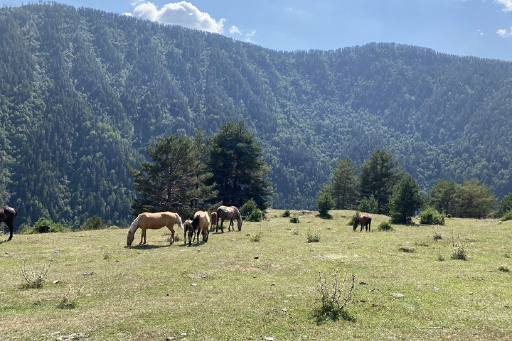 First time in Georgia and it is a great discovery! Located in the Caucasus with excellent food culture.