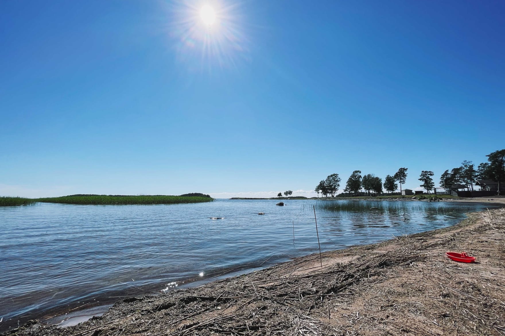 Office for the coming weeks