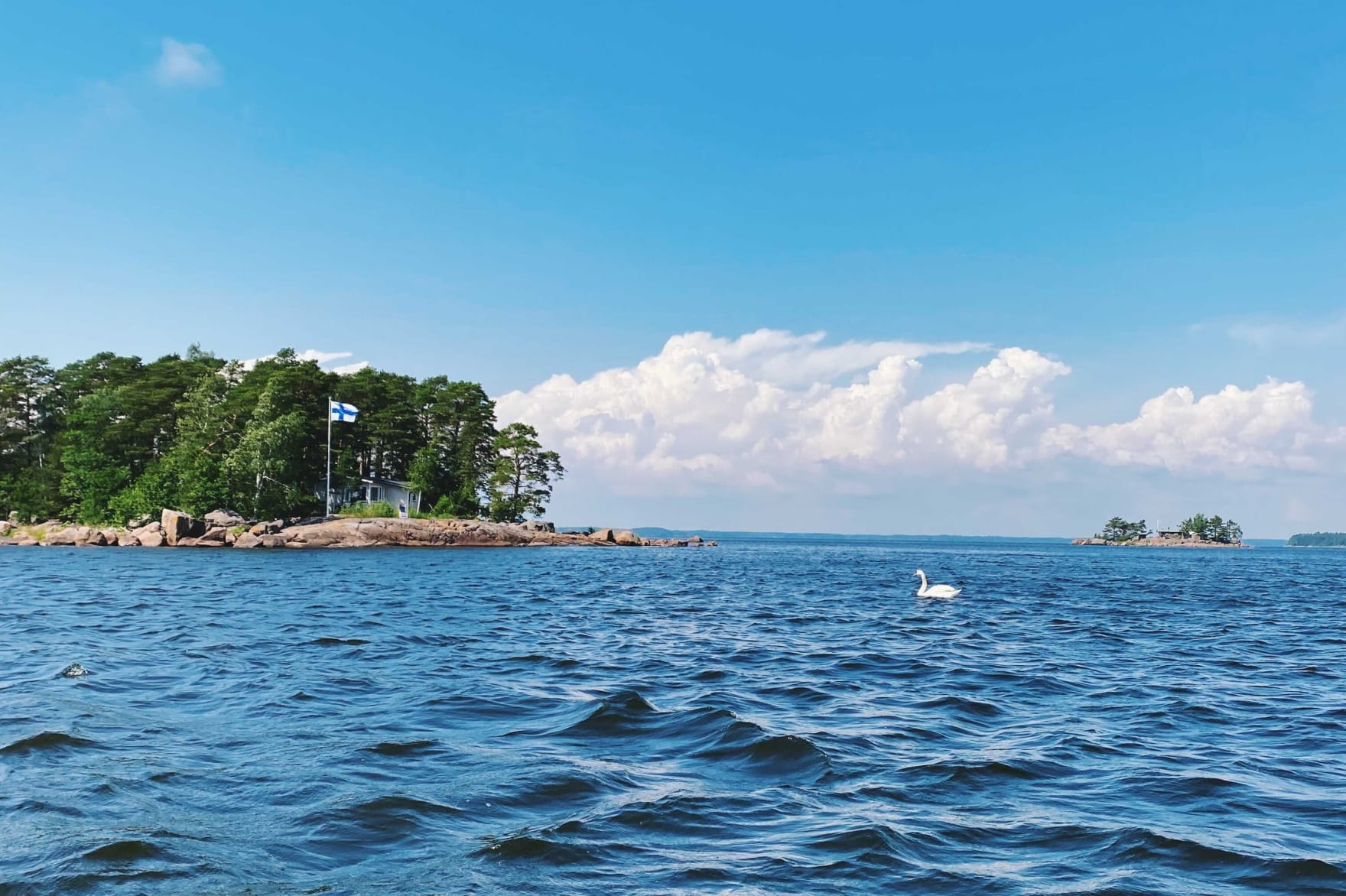 Some midsummer vibes