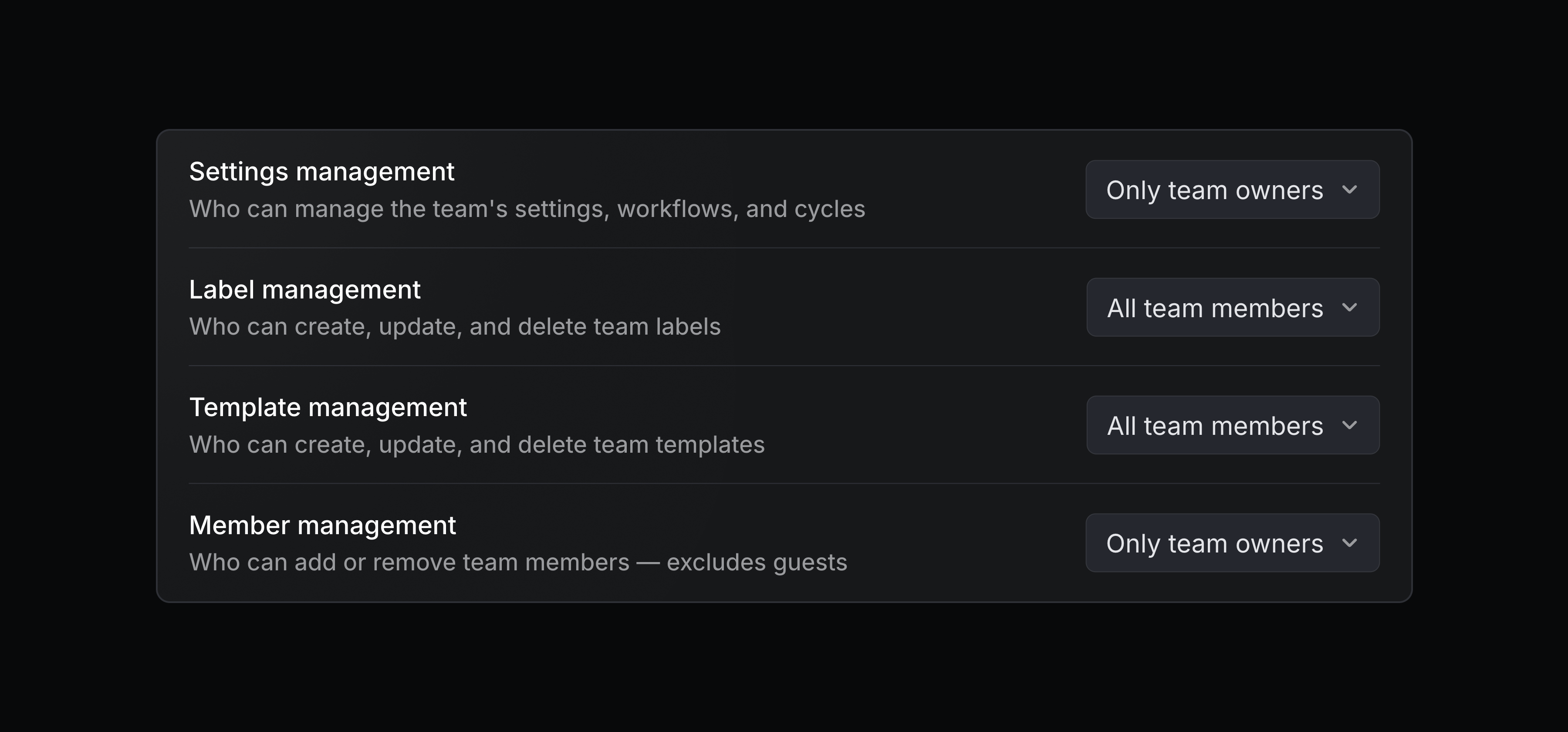 Team settings permissions panel showing controls for settings management, label management, template management, and member management, with most actions restricted to team owners.