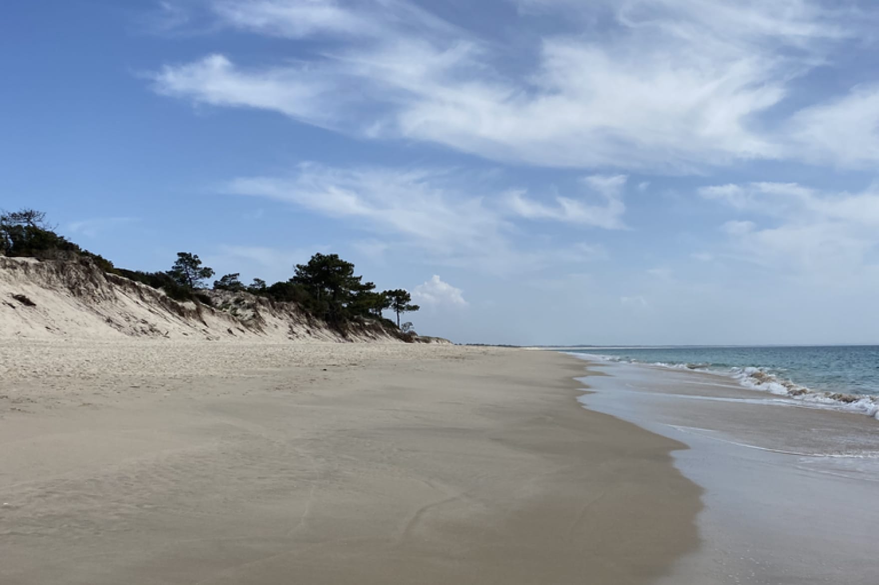 Last week outside Lisbon in Comporta