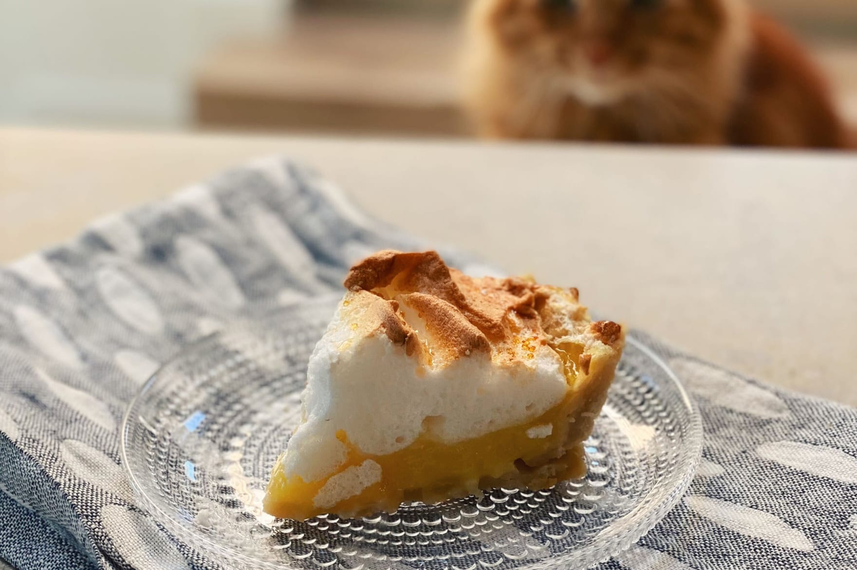 Action shots. It was good!