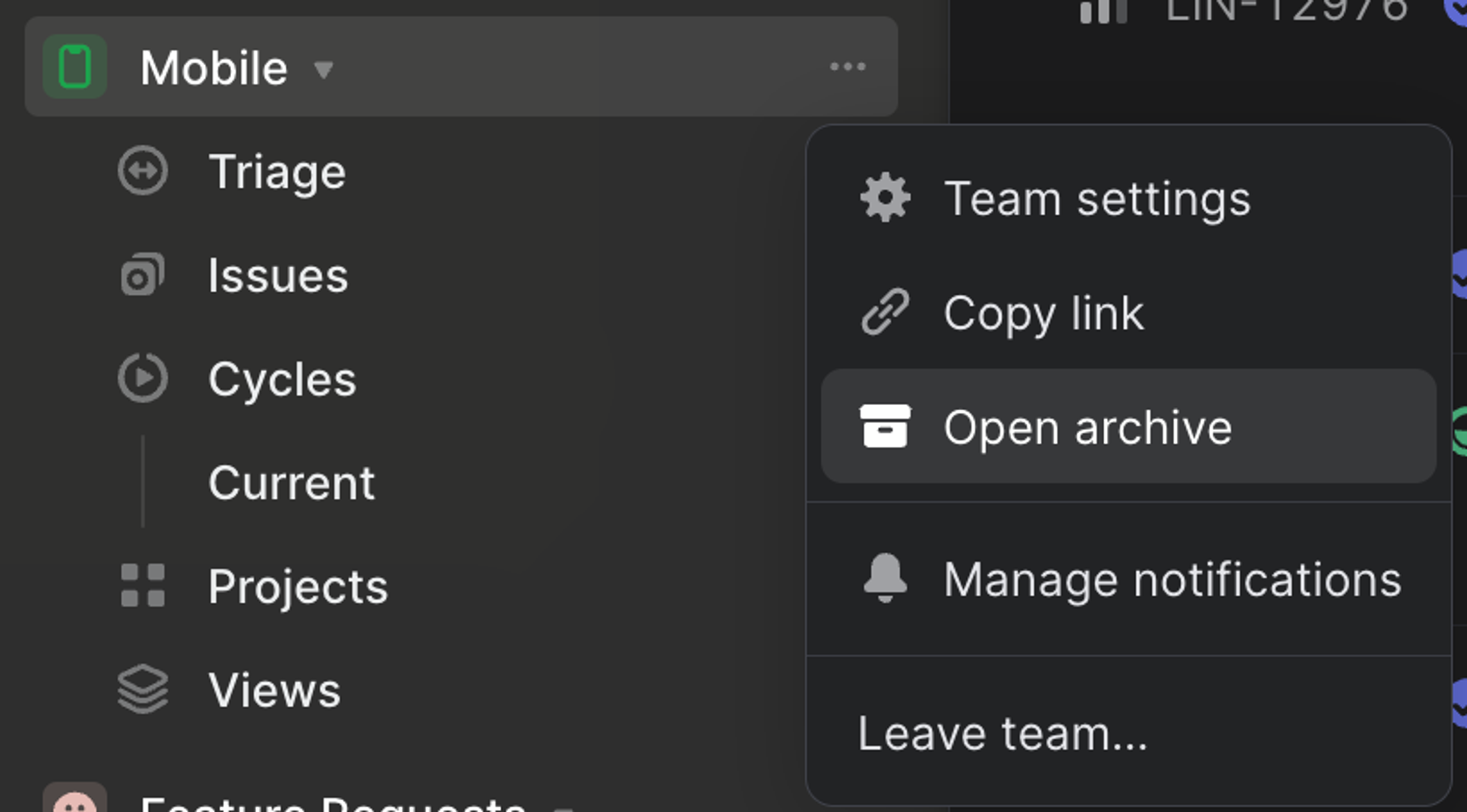 overflow menu on a team showing open archive