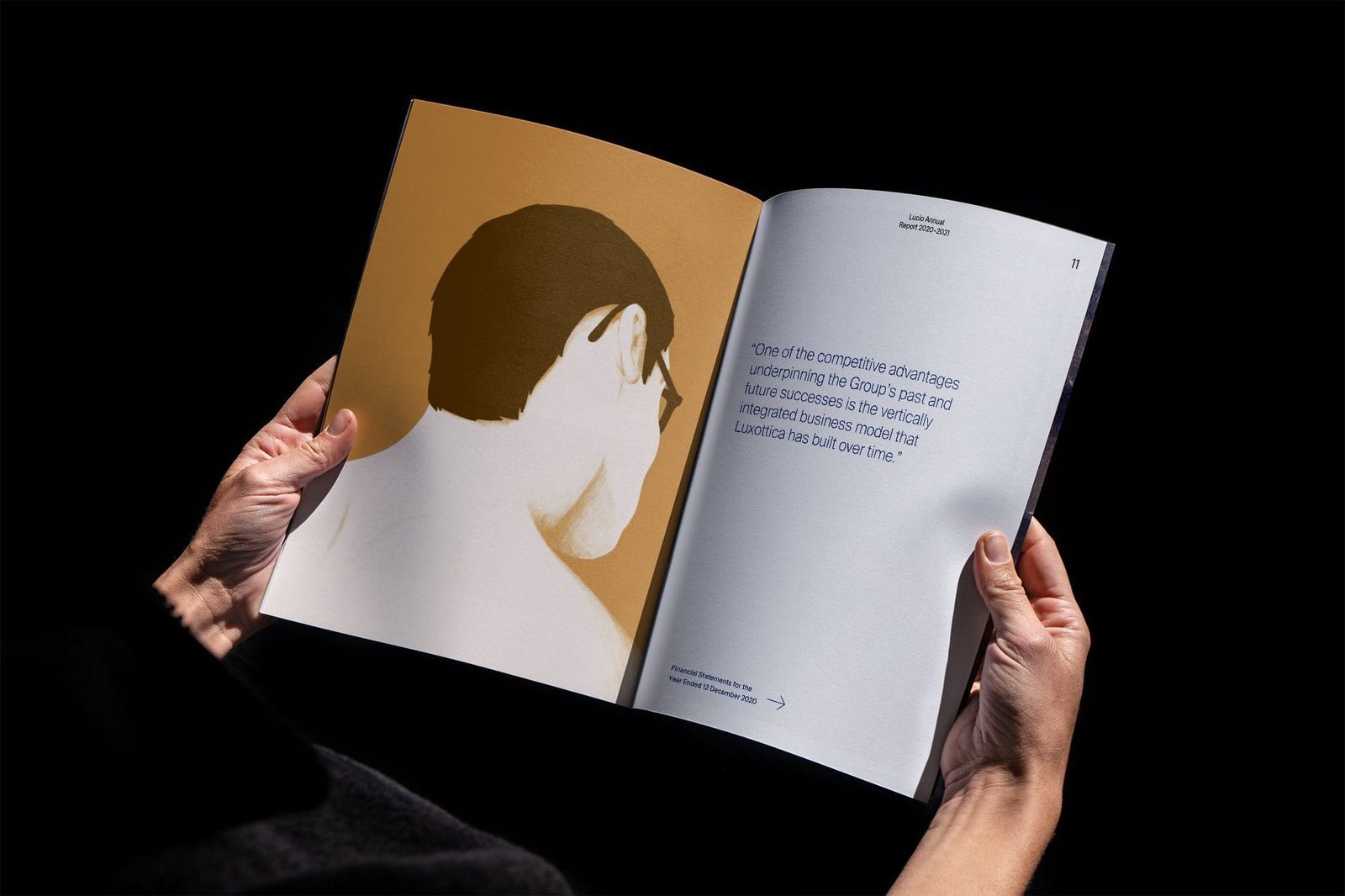 Lucio annual report