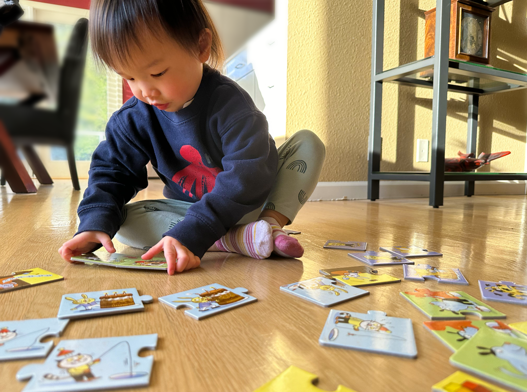 3rd generation puzzler