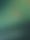 BMW_VNKX_MOTIV_00_PEOPLE_NO_CAR_FREESTYLE_SOLO_HOUSE_2398_Color.jpg