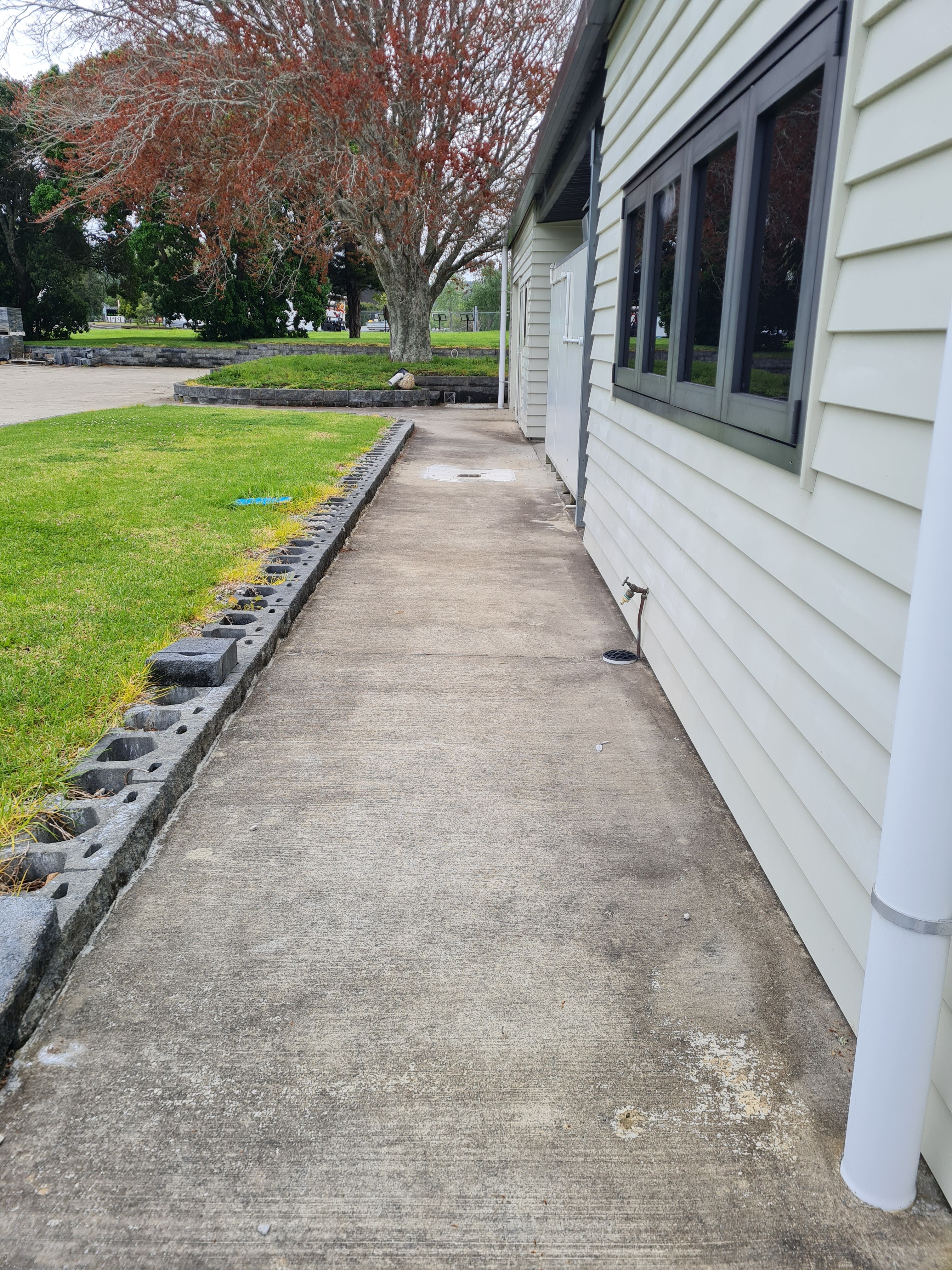 Concrete Path before cleaning