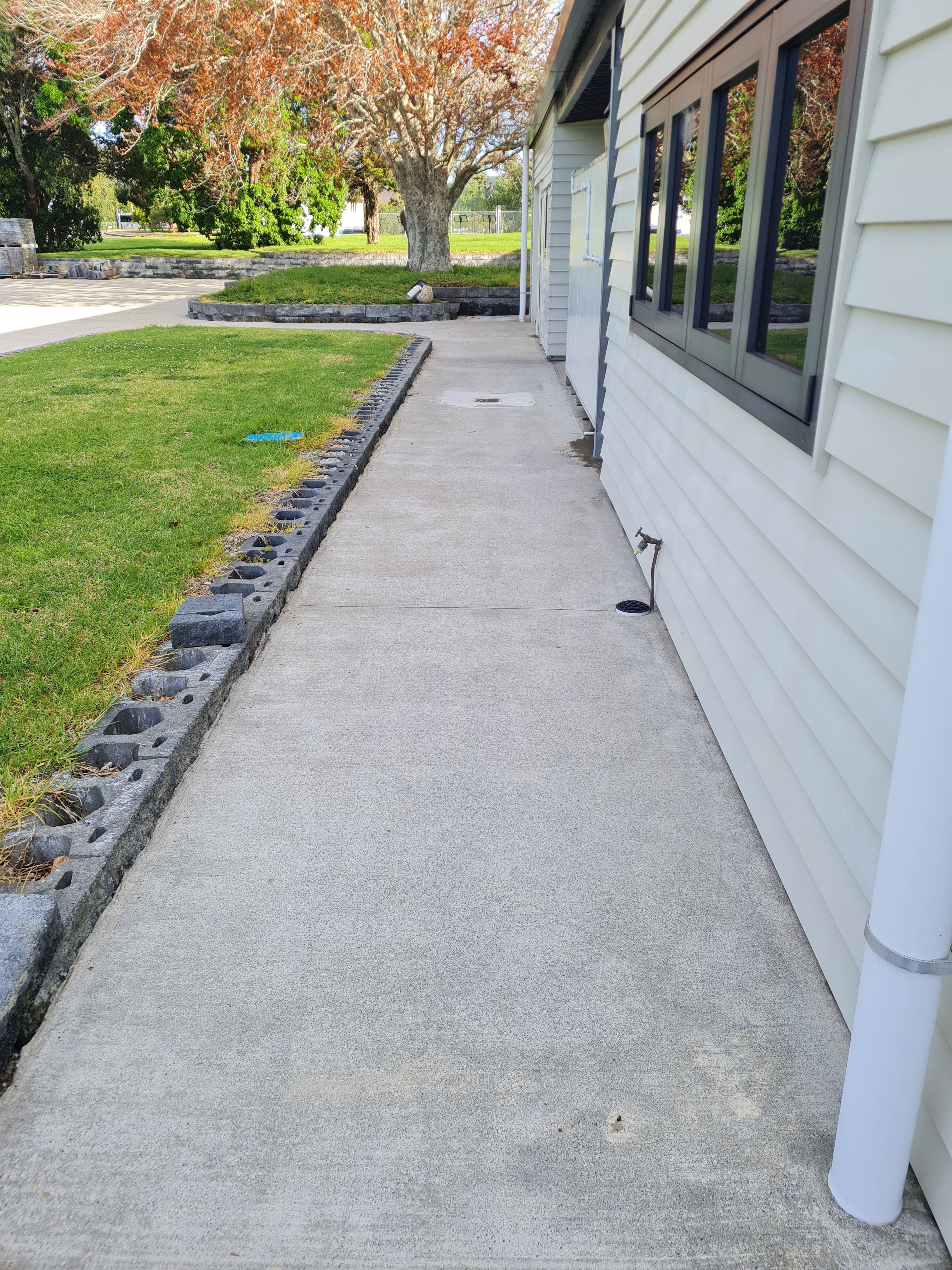 Concrete Path before cleaning